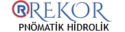 Rekortic
